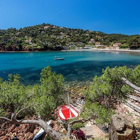 Appartement le Fabregas 4 pers vue mer La Seyne-sur-Mer Extérieur photo