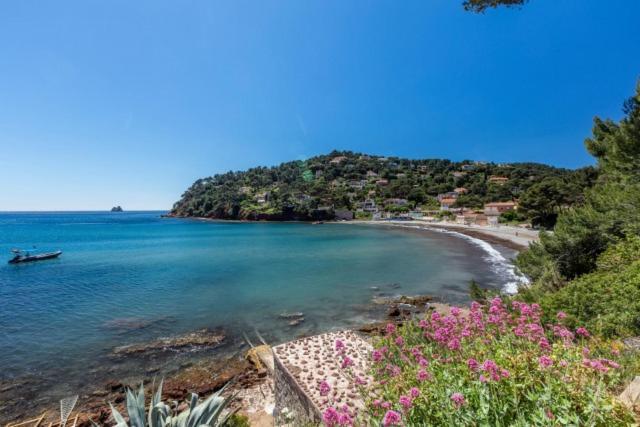 Appartement le Fabregas 4 pers vue mer La Seyne-sur-Mer Extérieur photo